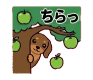 842664255