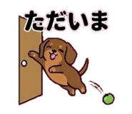 842664260