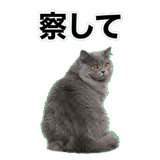 842664513