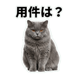 842664515