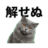 842664521