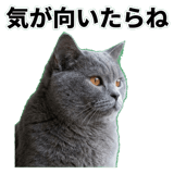 842664529