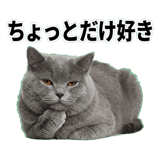 842664533