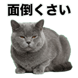 842664542