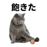 842664543