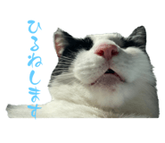 842664674