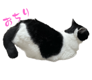 842664695
