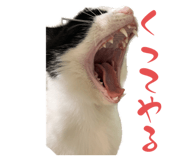 842664699