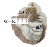842664899