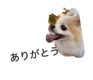 842664900