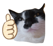 842665187
