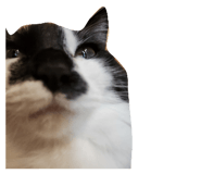 842665188