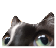 842665189