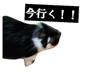 842665190
