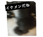 842665191