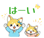842665224