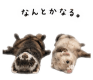 842665889