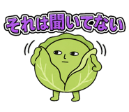 842665909