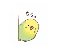 842666196