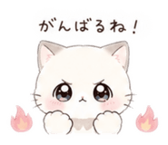 842666374