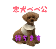 842666530