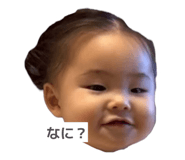 842666540