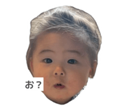 842666541