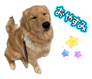 842666550