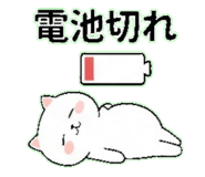 842666746