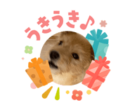 842666814