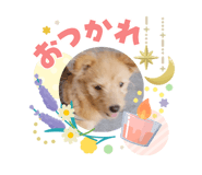 842666815
