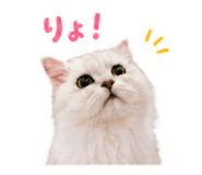 842666877