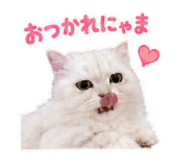 842666878