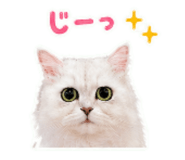842666883