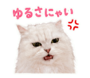 842666885