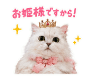 842666888
