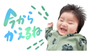 842667113