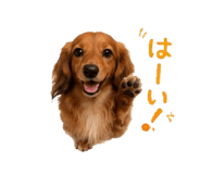 842667190
