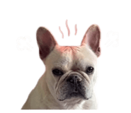 842668652