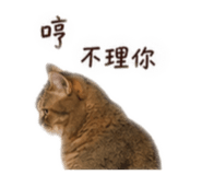 842668861
