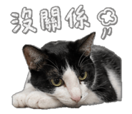 842668932