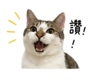 842669319