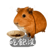 842669827