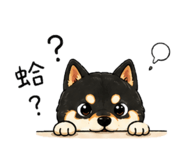 842669835