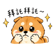 842669837