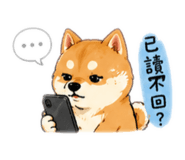 842669852