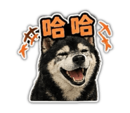 842670342