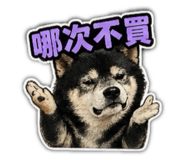 842670343