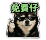 842670347