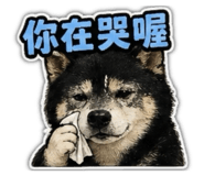 842670355